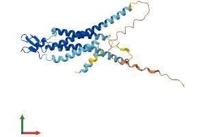 Protein Structure (PS) image for Gap Junction Protein, beta 5, 31,1kDa (GJB5) (AA 1-273) protein (His tag) (ABIN7546876)