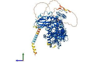 AlphaFold protein structure predicition of Human Recombinant XYLT2 Protein, UniprotID Q9H1B5