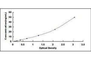 Typical standard curve (MMP11 ELISA 试剂盒)