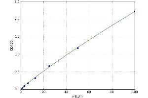 ATG7 Autophagy Related 7 (ATG7) ELISA Kit