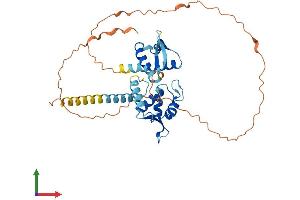 Protein Structure (PS) image for Melanoma Antigen Family C, 2 (MAGEC2) (AA 1-373) protein (His tag) (ABIN7549227)