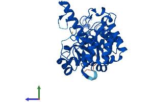 Protein Structure (PS) image for Glycerophosphodiester Phosphodiesterase 1 (GDE1) (AA 1-331) protein (His tag) (ABIN7547869)