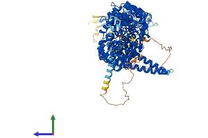 Protein Structure (PS) image for Kinesin Associated Protein 3 (KIFAP3) (AA 1-792) protein (His tag) (ABIN7548786)