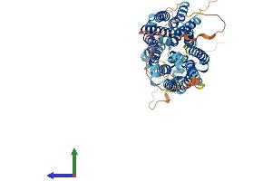 Protein Structure (PS) image for Solute Carrier Family 2 (Facilitated Glucose Transporter), Member 10 (SLC2A10) (AA 1-541) protein (His tag) (ABIN7548190)