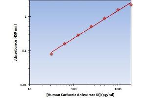 This is an example of what a typical standard curve will look like. (CA9 ELISA 试剂盒)