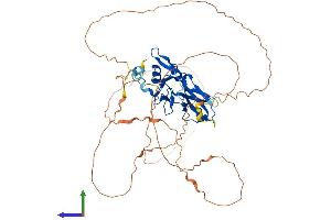 Protein Structure (PS) image for T-Box 22 (TBX22) (AA 1-517) protein (His tag) (ABIN7559558)