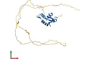 Protein Structure (PS) image for Spi-B Transcription Factor (Spi-1/PU.1 Related) (SPIB) (AA 1-267) protein (His tag) (ABIN7562385)