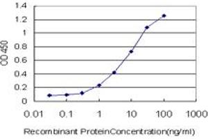 Detection limit for recombinant GST tagged HNRNPG-T is approximately 0. (RBMXL2 抗体  (AA 1-90))
