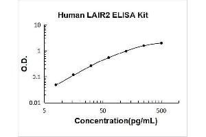 Leukocyte-Associated Immunoglobulin-Like Receptor 2 (LAIR2) ELISA Kit