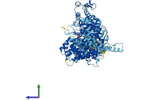 Protein Structure (PS) image for Hect Domain and RLD 4 (HERC4) (AA 1-1057) protein (His tag) (ABIN7554079)