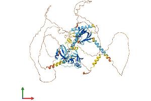 AlphaFold protein structure predicition of Human Recombinant APBA1 Protein, UniprotID Q02410 (APBA1 Protein (AA 1-837) (His tag))