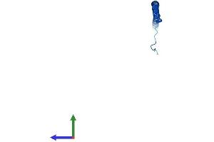Protein Structure (PS) image for ATPase, H+ Transporting, Lysosomal 13kDa, V1 Subunit G3 (ATP6V1G3) (AA 1-118) protein (His tag) (ABIN7545045)