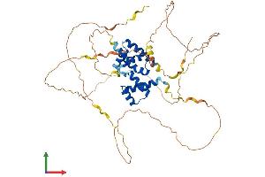 AlphaFold protein structure predicition of Mouse Recombinant Pou2f2 Protein, UniprotID Q00196 (Oct-2 Protein (AA 1-463) (His tag))