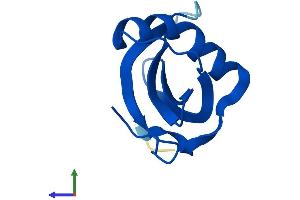 Protein Structure (PS) image for Cystatin A (Stefin A) (CSTA) (AA 1-97) protein (His tag) (ABIN7556485)