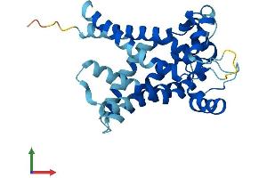 Protein Structure (PS) image for Solute Carrier Family 25 (Mitochondrial Oxodicarboxylate Carrier), Member 21 (Slc25a21) (AA 1-299) protein (His tag) (ABIN7550023)