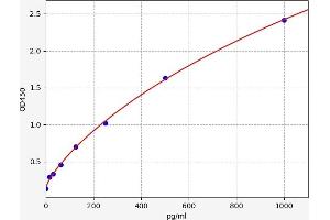 Typical standard curve (PKC ELISA 试剂盒)