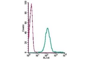 Cell surface detection of CRLR in live intact human THP-1 monocytic leukemia cells: (black line) Cells.