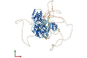 Protein Structure (PS) image for alpha-Kinase 1 (ALPK1) (AA 1-1244) protein (His tag) (ABIN7552084)