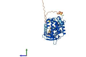 Protein Structure (PS) image for Exonuclease 5 (EXO5) (AA 1-373) protein (His tag) (ABIN7547571)