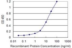 Detection limit for recombinant GST tagged IL18RAP is 0. (IL18RAP 抗体  (AA 20-129))