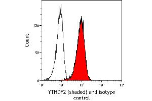 Flow Cytometry (FACS) image for anti-YTH Domain Family, Member 2 (YTHDF2) (AA 300-350) antibody (ABIN7795701) (Recombinant YTHDF2 抗体  (AA 300-350))