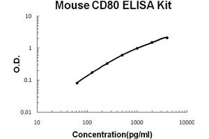Mouse B7-1/CD80 Accusignal ELISA Kit Mouse B7-1/CD80 AccuSignal ELISA Kit standard curve. (CD80 ELISA 试剂盒)