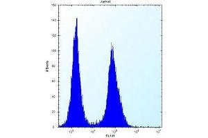 Flow cytometric analysis of Jurkat cells using Galectin-4 Antibody (N-term) Cat. (GAL4 抗体  (N-Term))
