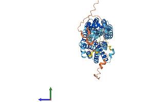 Protein Structure (PS) image for Synaptic Vesicle 2-Related Protein (SVOP) (AA 1-548) protein (His tag) (ABIN7544068)