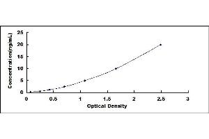 Typical standard curve (SAT1 ELISA 试剂盒)