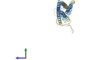 Protein Structure (PS) image for Tetraspanin 12 (TSPAN12) (AA 1-305) protein (His tag) (ABIN7555847)