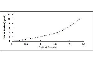 Typical standard curve (ARG2 ELISA 试剂盒)