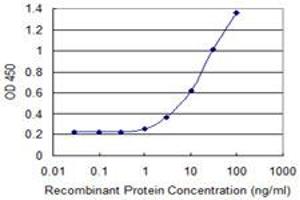 Detection limit for recombinant GST tagged LAIR1 is 0. (LAIR1 抗体  (AA 1-287))