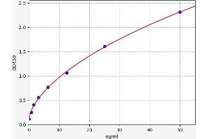 SLC2A2 ELISA 试剂盒