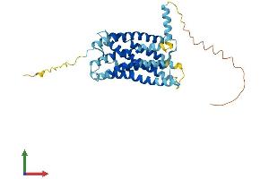 Protein Structure (PS) image for Chemokine (C-X3-C Motif) Receptor 1 (CX3CR1) (AA 1-355) protein (His tag) (ABIN7546785)