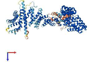AlphaFold protein structure predicition of Human Recombinant TTC7B Protein, UniprotID Q86TV6