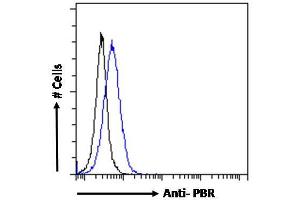 ABIN570960 Flow cytometric analysis of paraformaldehyde fixed NIH3T3 cells (blue line), permeabilized with 0.