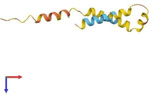 AlphaFold protein structure predicition of Human Recombinant ST20 Protein, UniprotID Q9HBF5