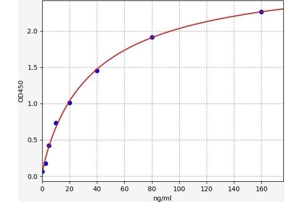 Liver Arginase ELISA 试剂盒
