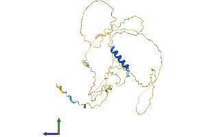 Protein Structure (PS) image for RAD51-Interacting Protein (RAD51AP1) (AA 1-337) protein (His tag) (ABIN7559145)
