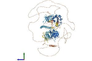 Protein Structure (PS) image for TRAF2 and NCK Interacting Kinase (TNIK) (AA 1-1323) protein (His tag) (ABIN7563537)