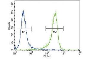 Flow Cytometry (FACS) image for anti-Ubiquitin Carboxyl-terminal Esterase L1 (Ubiquitin Thiolesterase) (UCHL1) (AA 16-46) antibody (ABIN3029423)