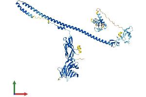 AlphaFold protein structure predicition of Human Recombinant MID1 Protein, UniprotID O15344