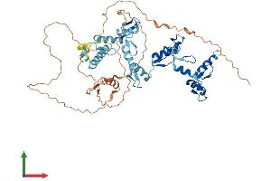 Protein Structure (PS) image for Zinc Finger Protein 671 (ZNF671) (AA 1-534) protein (His tag) (ABIN7545825)