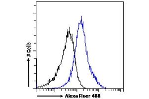 (ABIN302166) Flow cytometric analysis of paraformaldehyde fixed A431 cells (blue line), permeabilized with 0. (CX3CL1 抗体  (Internal Region))