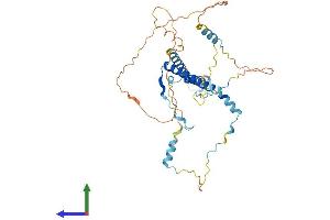 Protein Structure (PS) image for Glutamate Receptor, Ionotropic, N-Methyl D-Aspartate-Like 1A (GRINL1A) (AA 1-368) protein (His tag) (ABIN7548166)