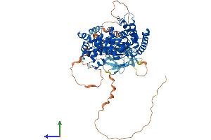 AlphaFold protein structure predicition of Mouse Recombinant Tbc1d17 Protein, UniprotID Q8BYH7