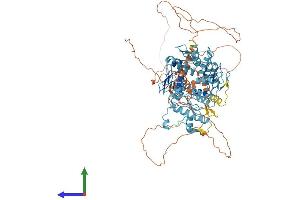 Protein Structure (PS) image for Zinc Finger Protein 606 (ZNF606) (AA 1-792) protein (His tag) (ABIN7545755)