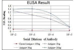 Red: Control Antigen (100 ng), Purple: Antigen (10 ng), Green: Antigen (50 ng), Blue: Antigen (100 ng), (APOB 抗体)