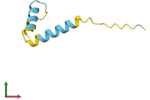 AlphaFold protein structure predicition of Human Recombinant LUZP6 Protein, UniprotID Q538Z0