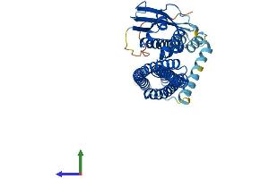 AlphaFold protein structure predicition of Human Recombinant SNX32 Protein, UniprotID Q86XE0